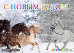  s_godom_loshadi_otkrytki_2014 (500x360, 10026Kb)