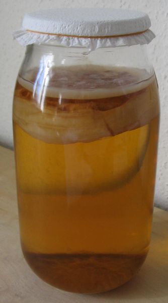 4682845_334pxKombucha (334x599, 18Kb)