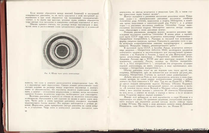 Р СѓСЃСЃРєРѕРµ С€РёС‚СЊС‘ Р¶РµРјС‡СѓРіРѕРј 04 (700x444, 238Kb)