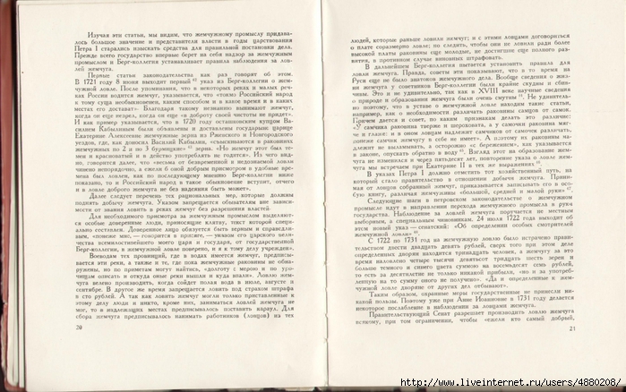 Р СѓСЃСЃРєРѕРµ С€РёС‚СЊС‘ Р¶РµРјС‡СѓРіРѕРј 09 (700x438, 262Kb)