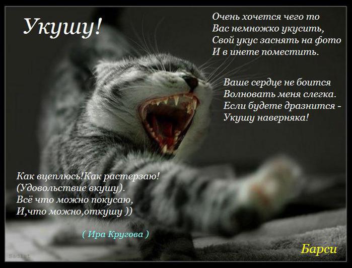 укуси меня смешные картинки это другое название
