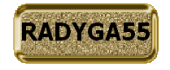 RADYGA55 (170x70, 6Kb)