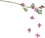  falling lilacs1 (568x479, 104Kb)