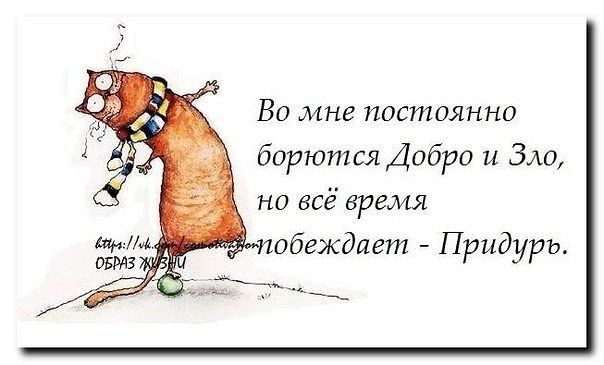 Открытку днем, я не виновата картинки прикольные