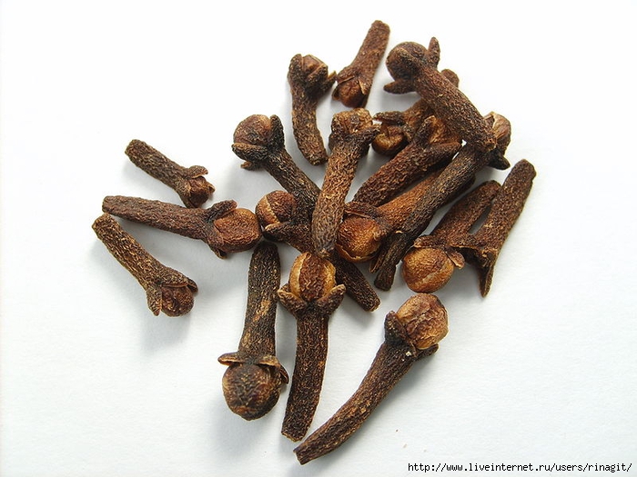 800px-Cloves гвоздика (700x525, 225Kb)