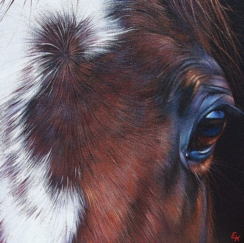 1384857358-equine-1-elena-kolotusha (500x500, 385Kb)