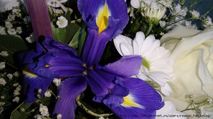 DSC_0022 (700x393, 232Kb)
