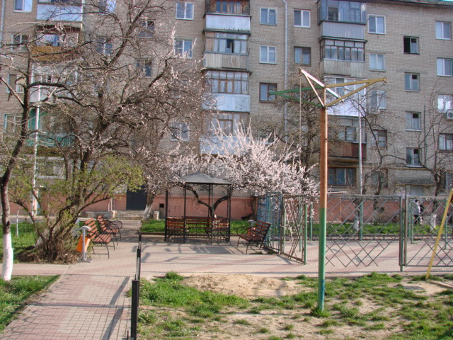 DSC05829 (640x480, 406Kb)