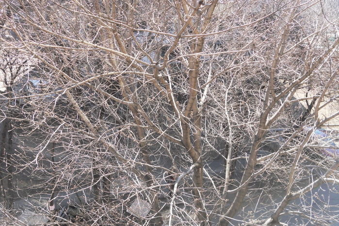 1  (700x466, 205Kb)