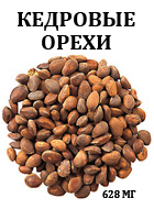 4674007_pine_nut (140x190, 34Kb)