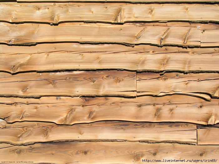 wood_texture1579 (700x525, 346Kb)