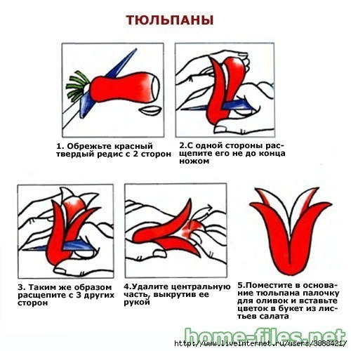 Когда нужно обрезать тюльпаны. Как подрезать тюльпаны. Подрезка тюльпанов. Как правильно подрезать тюльпаны. Как обрезать тюльпаны для вазы.