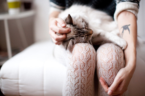 4733321_tumblr_ly6x55R87S1qe2xndo1_500 (500x334, 53Kb)