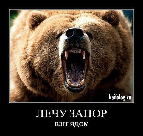 5177462_big_2_ (480x458, 57Kb)