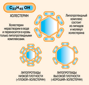 Даже суп готовите неправильно: диетолог рассказала правду о продуктах, которые вы едите каждый день