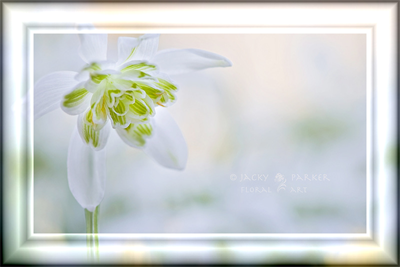 0_a2bfa_91a9ae6e_XL (400x267, 114Kb)