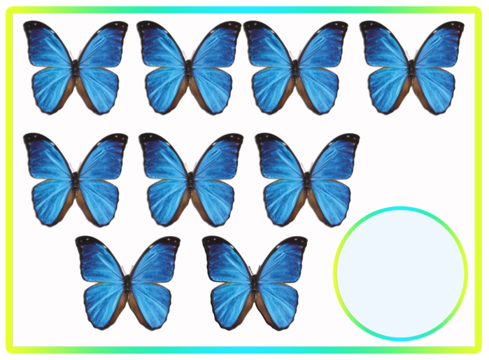 Голубой средняя группа. Бабочки разных цветов. Бабочки цветные. Бабочки разных размеров. Бабочки разных цветов и размеров.