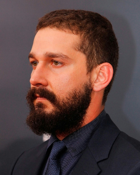 shia-beard-11nov15 (477x595, 289Kb) .