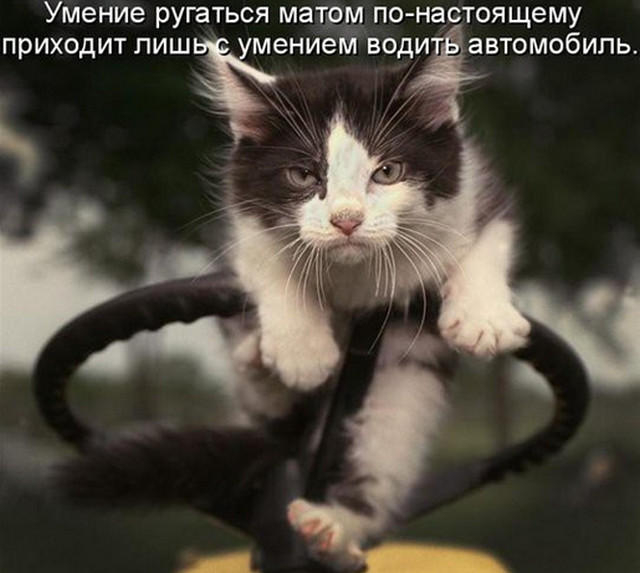 1 (640x573, 143Kb)