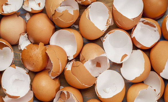 Яйца (585x356, 171Kb)