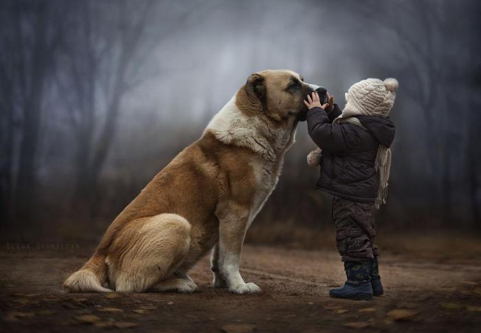 animal-children-photography-elena-shumilova-1 (700x484, 30Kb)