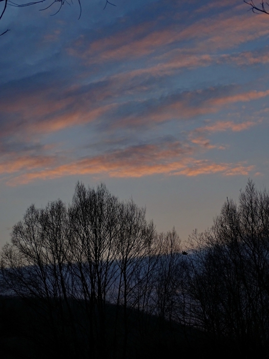 5559494_DSC04131 (525x700, 220Kb)