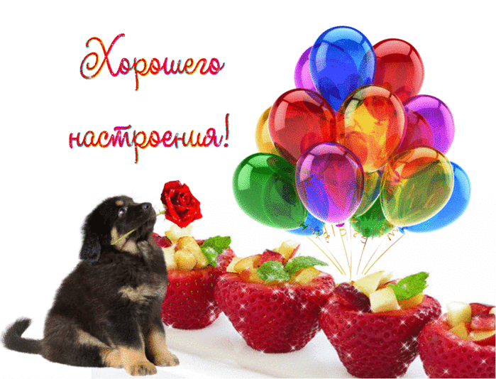 Олеся Гифки