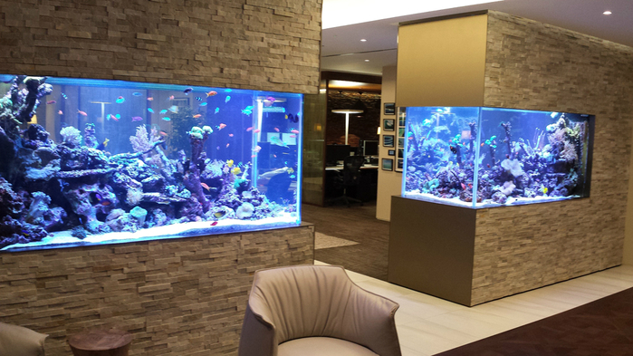 30-Fabulous-Fish-Tanks-I-Would-Be-Proud-To-Have-In-My-Home3 (700x393, 377Kb)