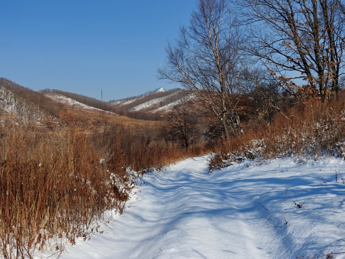 5559494_DSCN1720 (700x525, 326Kb)