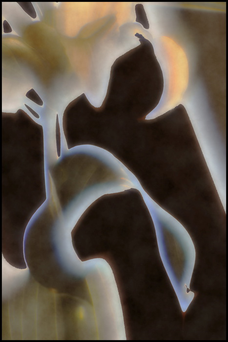 WX_IV (467x700, 61Kb)