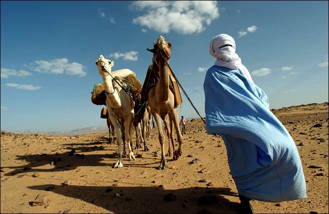 Tuareg004-o (650x424, 53Kb)