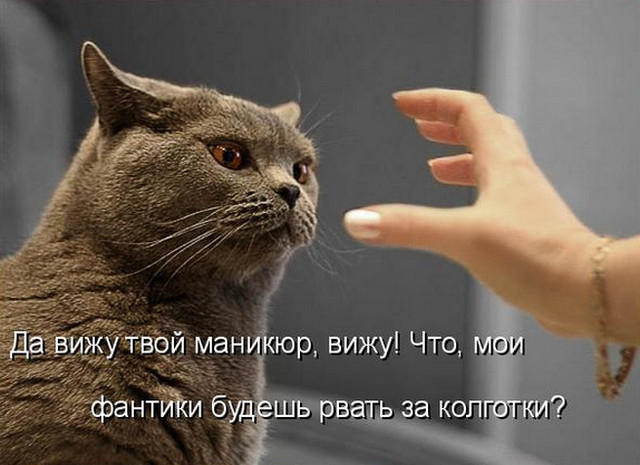27 (640x465, 145Kb)