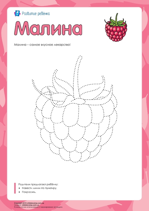 CD_Fruits_rus_ua-11 (494x700, 103Kb)