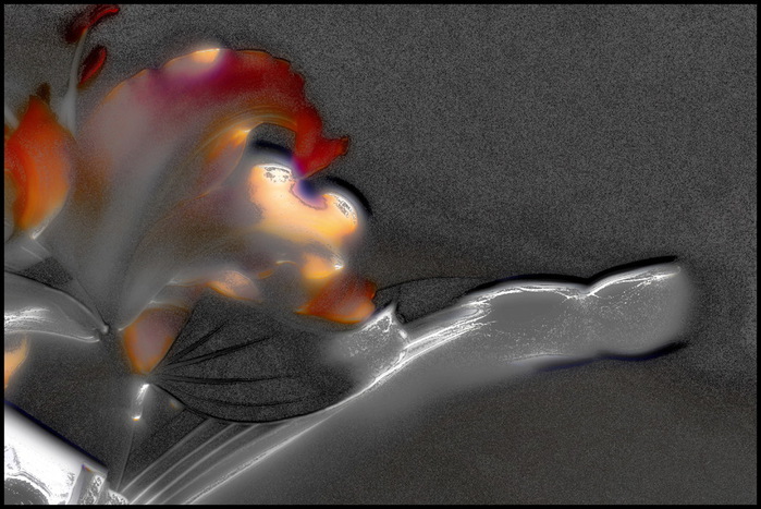 WX_X (700x467, 117Kb)