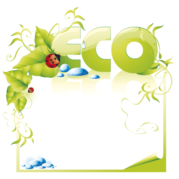 Eco frame. Eco баннер.