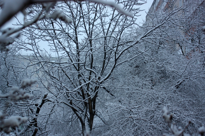 4052195_IMG_4179 (700x465, 345Kb)