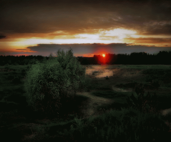 850886d86d0ce9b558a927489d90f49d Я МНОГО (600x500, 20595Kb)