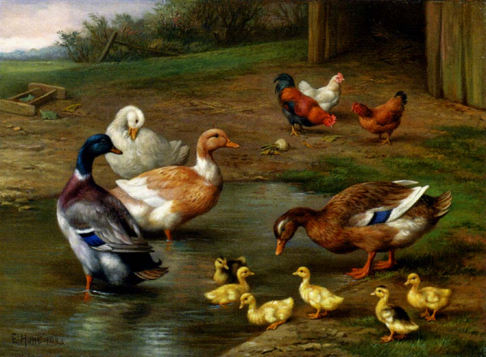 Hunt_Edgar_Chickens_Ducks_And_Ducklings_Paddling (700x514, 424Kb)