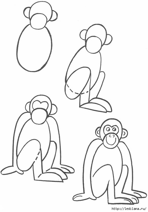 Пошаговые инструкции по рисованию обезьяны