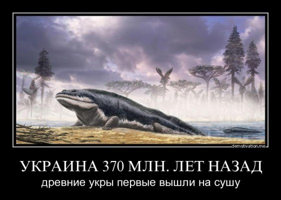 KZiVT1hJz3c (562x400, 126Kb)