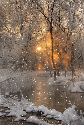 0_114c6c_208efb19_orig (348x521, 692Kb)