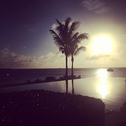 3734746_tumblr_mn1irlPkP51qe50b8o1_500 (500x500, 44Kb)