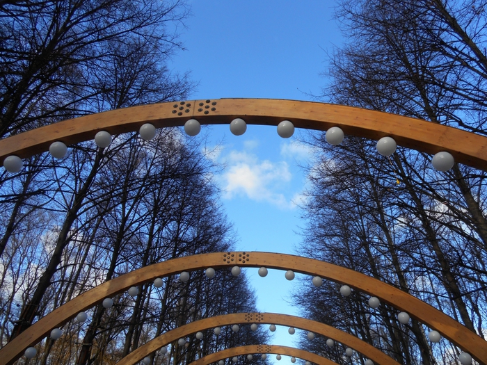 4752699_sokoln_050 (700x525, 386Kb)