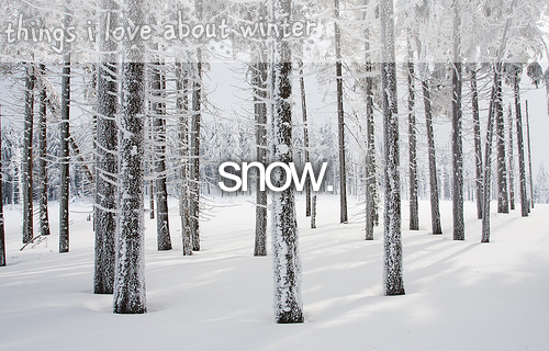 3734746_tumblr_lt4lmt3Wvf1r39wngo1_r1_500 (500x320, 324Kb)