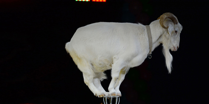 4752699_15 (700x350, 46Kb)