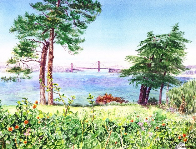 Golden Gate Bridge View From Lincoln Park San Francisco (627x477, 478Kb)