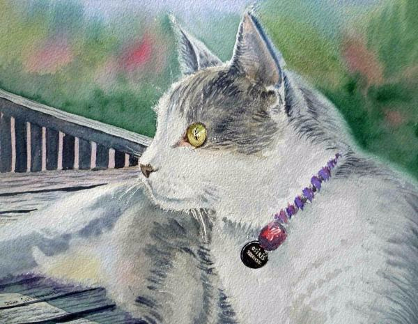 Cat (600x465, 239Kb)