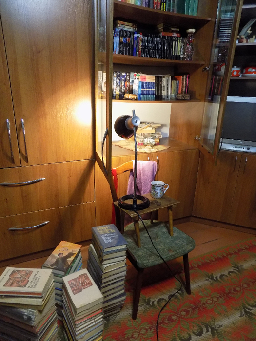 DSCN2108 (525x700, 442Kb)