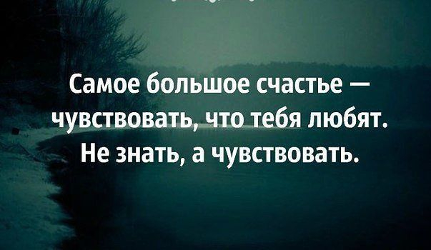 Дефицит львов не повод ценить шакалов картинки