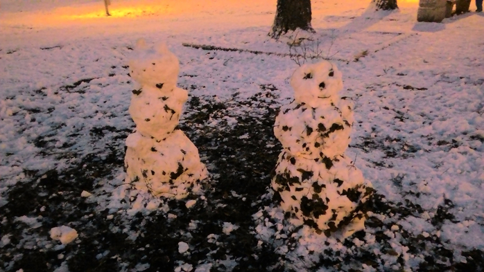P_20151213_161028 (700x393, 329Kb)